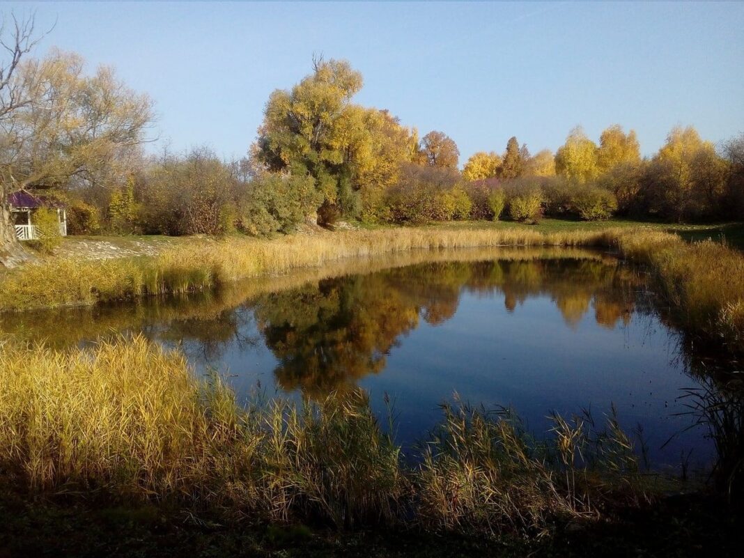 Погода в аксаково республика башкортостан. Аксаково Самарская область. Аксаково пруд.